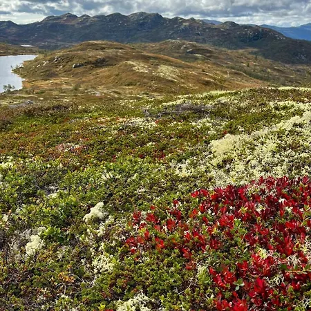 Modern And Cozy Mountain - Panoramic View! * Torvetjørn